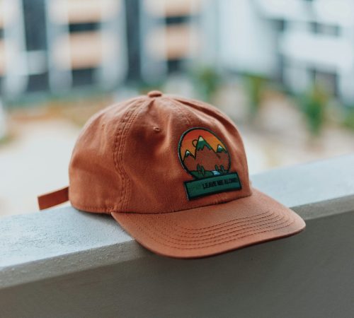 Baseball Caps2